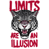 Limits Are an Illusion