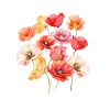 Wild poppies / Colourful, like summer