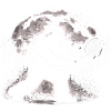 Bigfoot Tennis Player