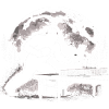 Bigfoot Table Tennis Player