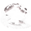 Bigfoot Surfer