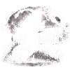 Bigfoot Volleyball