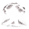 Bigfoot Baseball Player