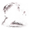 Bigfoot Basketball