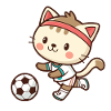 Bezaubernde Fußballer-Katze