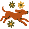Cheerful dog in the flower run