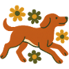 Fast dog in the flower field