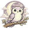 Moonlight Owl Dream