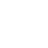 Data Analyst