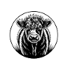 Galloway Cow Circle Graphic
