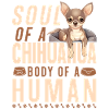 Chihuahua Chihuahua Âme d’Un