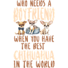 Chihuahua Chihuahueño Who Needs A