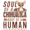 Chihuahua Chihuahua Âme d’Un