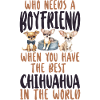 Chihuahua Chihuahueño Who Needs A