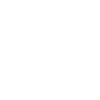 Grands félins