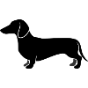 Dachshund Hunting Dog Profile