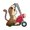 Monkey Motorcycle