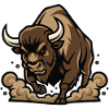 Wild Bison Charge Mascot Buffalo