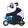 Moto Panda