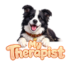Border Collie My Therapist