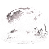 Bigfoot Triathlon