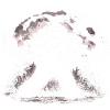 Bigfoot Boxer