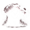 Bigfoot Photographer
