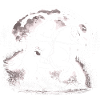 Bigfoot Équitation
