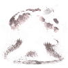 Bigfoot Badminton Player