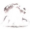 Bigfoot Dog Lover