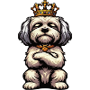 Havanese Havanese Owners Havanese Farmers