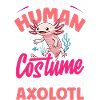 Cute Axolotl Kawaii Axolotl Lover
