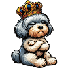 Havanese Havanese Owners Havanese Farmers