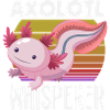 Cute Axolotl Kawaii Axolotl Lover