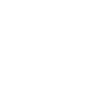 Physics Cats Sayings Math Joke Physics Gift