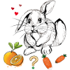 Rabbit with fruit and carrots