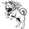Eurasier | Unicorn | Female