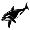 Killer whale