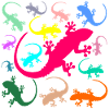Lizard Diversity