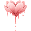 Lotus flower with drops illustration