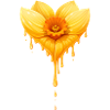 Daffodil Flower Heart Shape Illustration