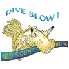 Nudis Don’t Run – Slow Down & Dive