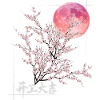 Sakura Mond mit Kirschblüten Glückssymbol