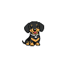Little Dachshund Cartoon