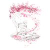 Cherry Blossom Sakura Cherry Blossom