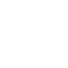 Chicken Fans - Rooster - Rooster - Chicks - Wyandotten