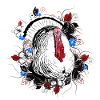 Dinde - Dinde - Thanksgiving