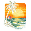 Puerto Rico Boricua