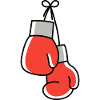 Boxing Boxing Gloves Icon