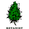 Botanist. Bud Silhouette